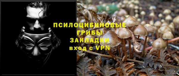 дживик Тобольск