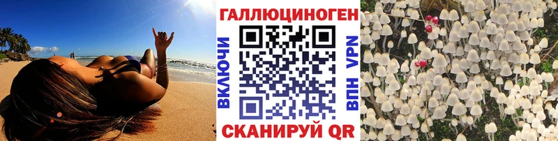 Псилоцибиновые грибы Cubensis  цена   Усолье-Сибирское 